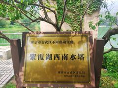 -紫霞湖公园