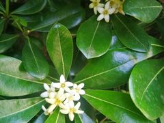 -白塘生态植物园
