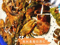 -开海·红岛海鲜虾水饺(石老人店)