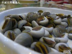 海螺-海岛渔村大酒店(云霄路店)