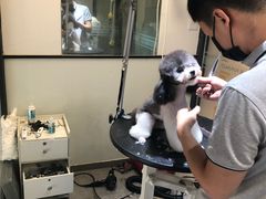 -帕帕拉兹宠物(亚洲旗舰店)