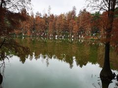 -番禺大夫山森林公园