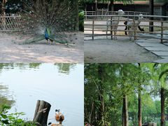 -宁波杭州湾国家湿地公园