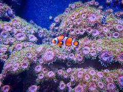 -成都浩海立方海洋公园