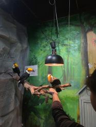 -Zoolung Zoolung动物主题公园(海信广场店)