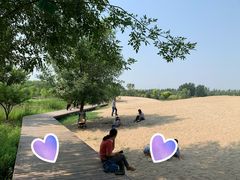 -东郊湿地公园