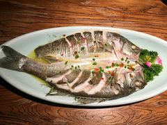 海鲈鱼-嵇大厨好灶头农家菜