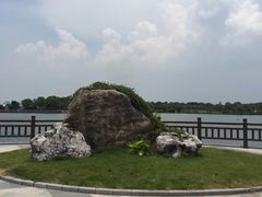 -上海都市菜园