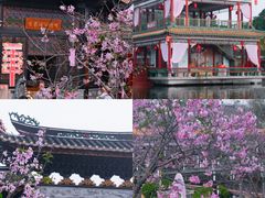 -宝墨园景区