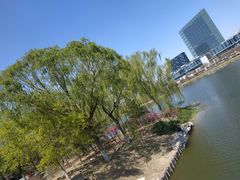 -大兴滨河森林公园