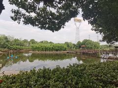 -金稼园·金平湖农家菜