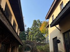 -莫干山风景区