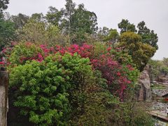 -广州莲花山旅游区