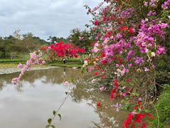 -中国科学院西双版纳热带植物园