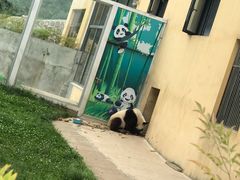 -西安秦岭野生动物园