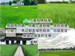 -老鼎万春卤菜(五代传承创始老店)