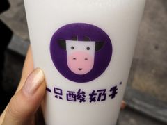 -一只酸奶牛(八一路店)