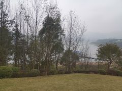 -金海湾滨江公园