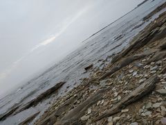 -鼓歌海鲜舫·手抓海鲜(大学城店)