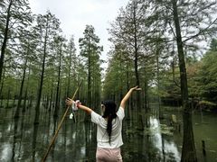 -泗洪洪泽湖湿地景区