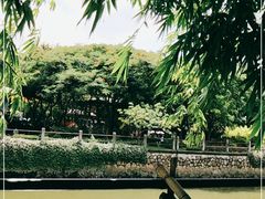 -晓港公园