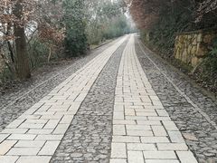 -紫金山天文台