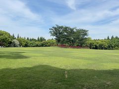-上海滨江森林公园