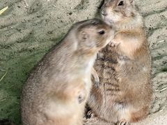 -杭州野生动物世界