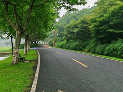 -宜兴龙背山森林公园