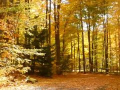 -回龙观体育文化公园