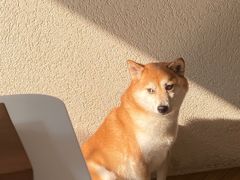 -Line来恩咖啡(石厦花园店)