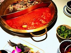 -小龙坎火锅(总店)