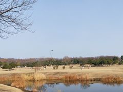 -钟山体育运动公园
