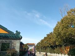 -高旻寺