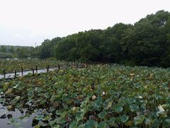 -鄱阳湖国家湿地公园