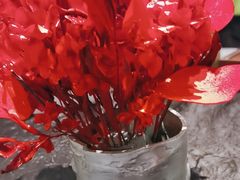 -大董(金宝汇店)