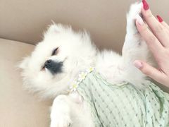 -怪兽屋·羊驼·猫咖·狗咖(俊华广场店)