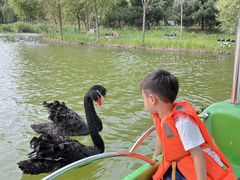 -河北省园博园