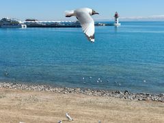 -青海湖二郎剑景区