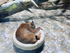 -海合安成都极地海洋公园
