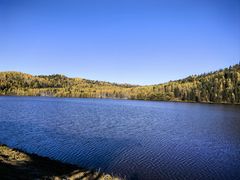 -五营红松林海景区