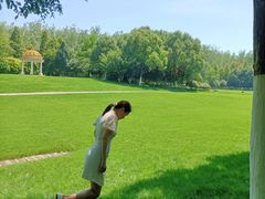 -合肥滨湖国家森林公园