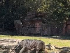 -杭州野生动物世界