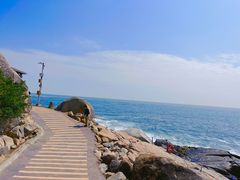 -广东惠东海龟国家级自然保护区