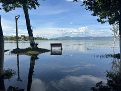 -洱海月湿地公园