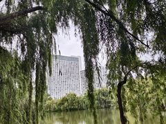 -月亮湾湿地公园