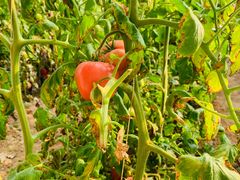 -西部长青自然儿童乐园