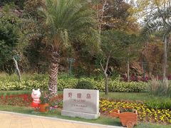 -野狸岛