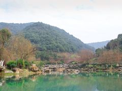 -桃花岭景区