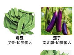 -中国农业博物馆
